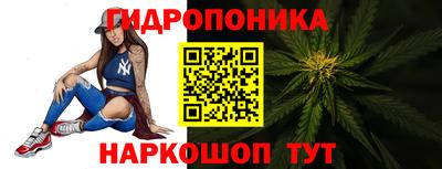 амф Гусь-Хрустальный