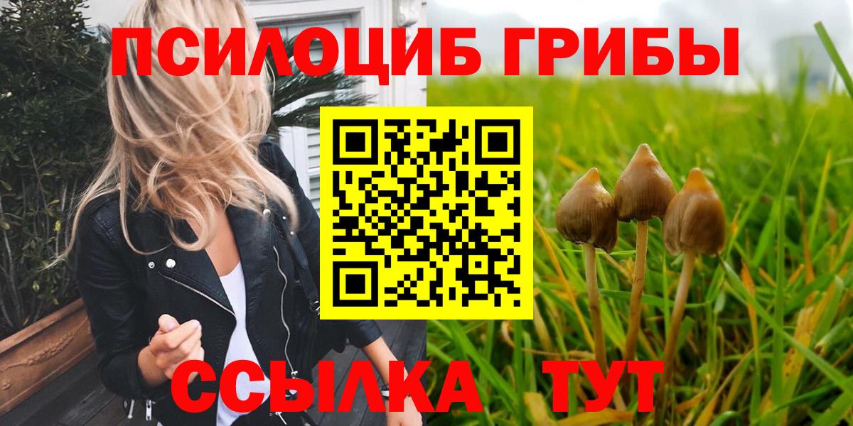 Галлюциногенные грибы MAGIC MUSHROOMS  Вход с VPN  Новозыбков 