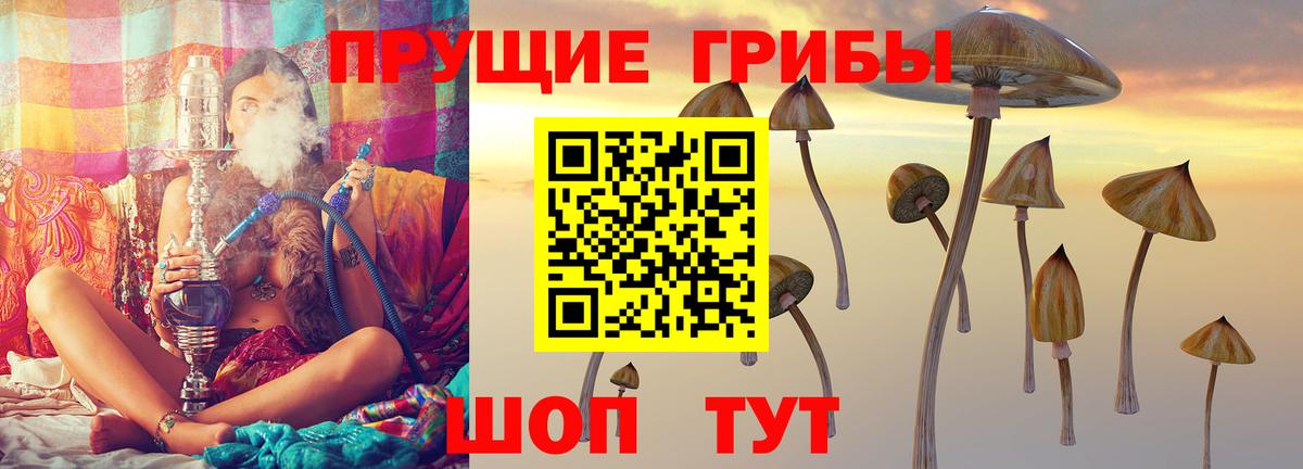 Галлюциногенные грибы Psilocybine cubensis Новозыбков