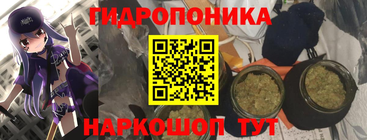 Конопля MAZAR Новозыбков